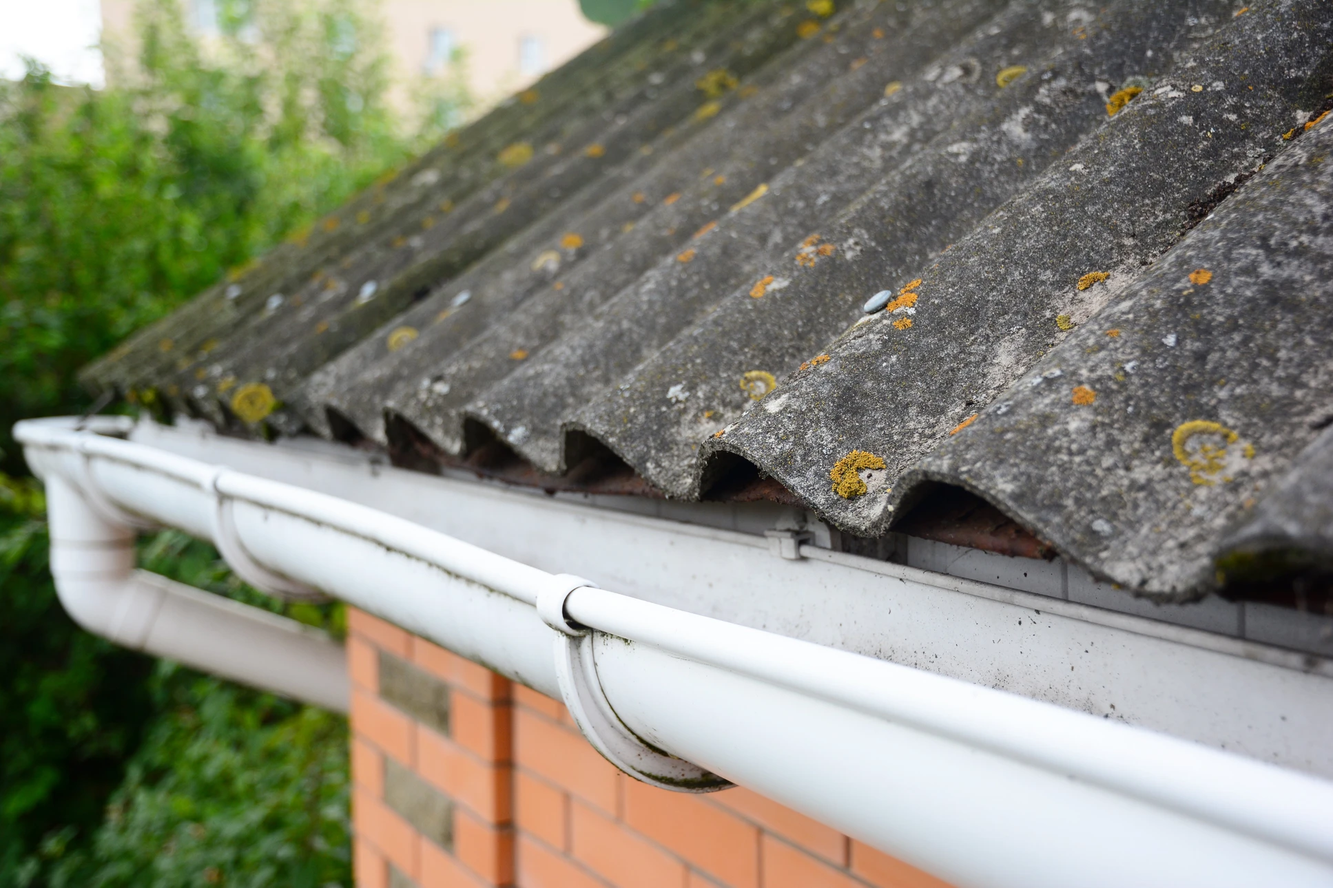 Extérieur d'une maison avec toiture en fibrociment ondulé gris présentant des traces de mousse et lichen jaunâtres